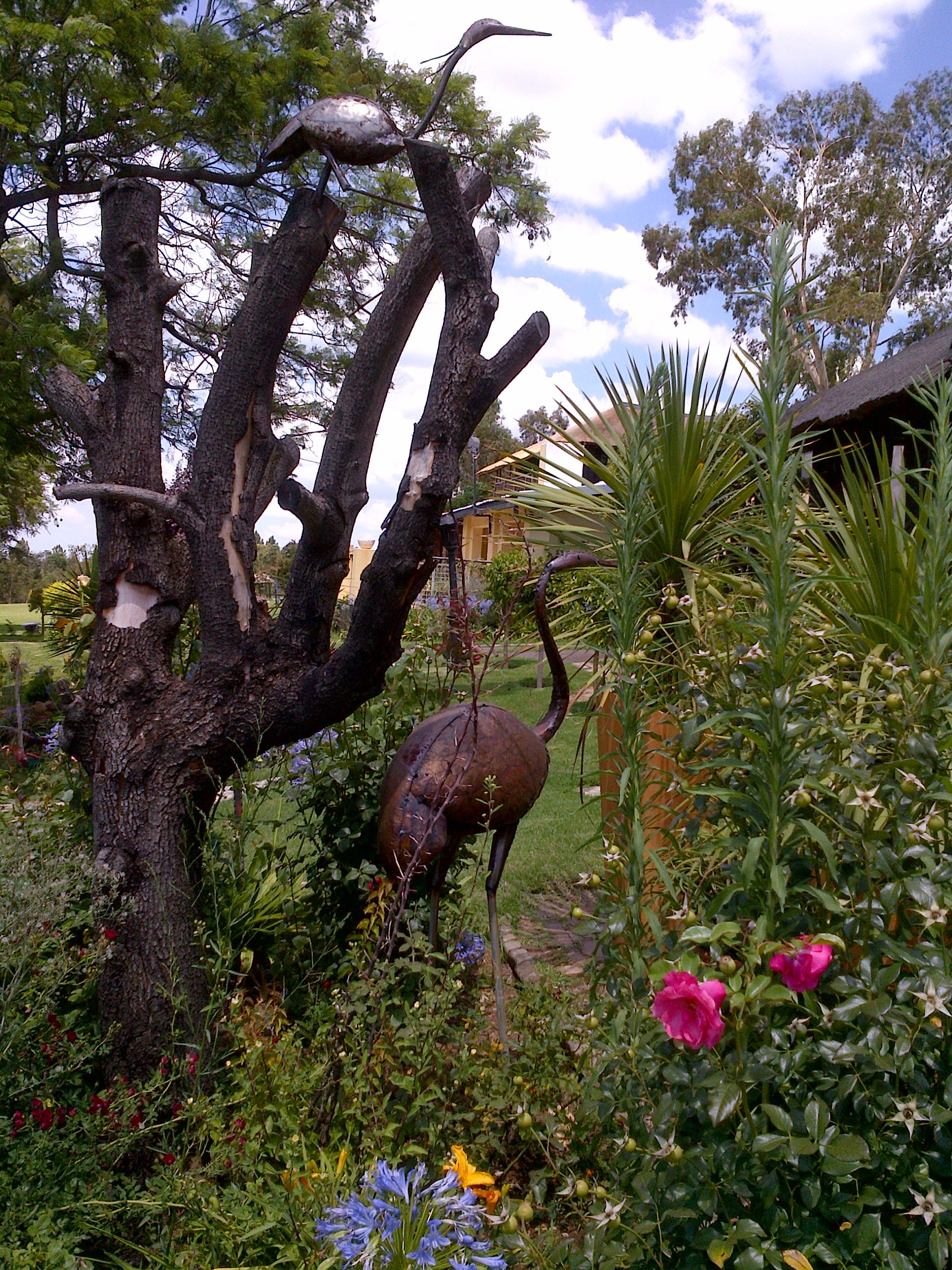 Jasmine Hills Country Venue